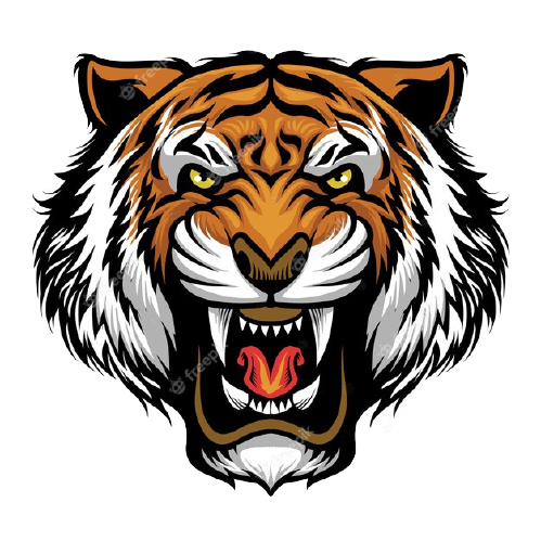Ninja Sport Tiger Logo